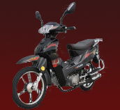 產(chǎn)品中心,電動車,助力車 中國輕騎濟(jì)南世紀(jì)風(fēng)摩托車 無錫市俊杰車輛廠